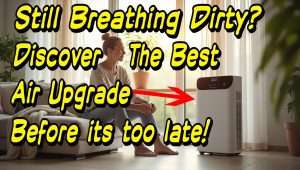 Best Air Purifiers This Year
